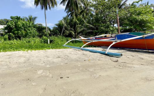 Beach Lot for Sale in Loay, Bohol