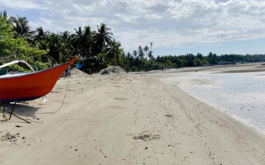 Beach Lot for Sale in Loay, Bohol