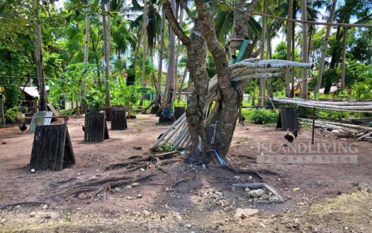 Lot for Sale in Panglao Island Near the Beach