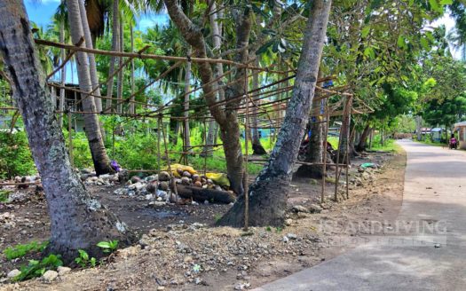 Lot for Sale in Panglao Island Near the Beach