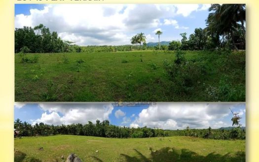 San Isidro Enclave – Lot Only