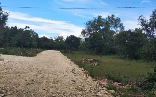 500 sqm Residencial Lot in Subdivided Land in Panglao / San Isidro